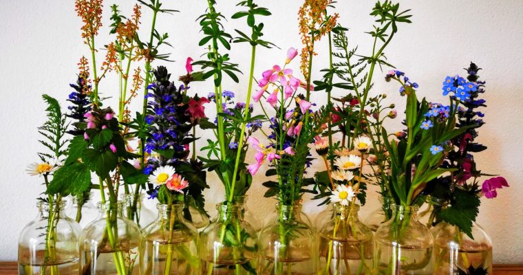 Essbarer Blumenschmuck für den Tisch