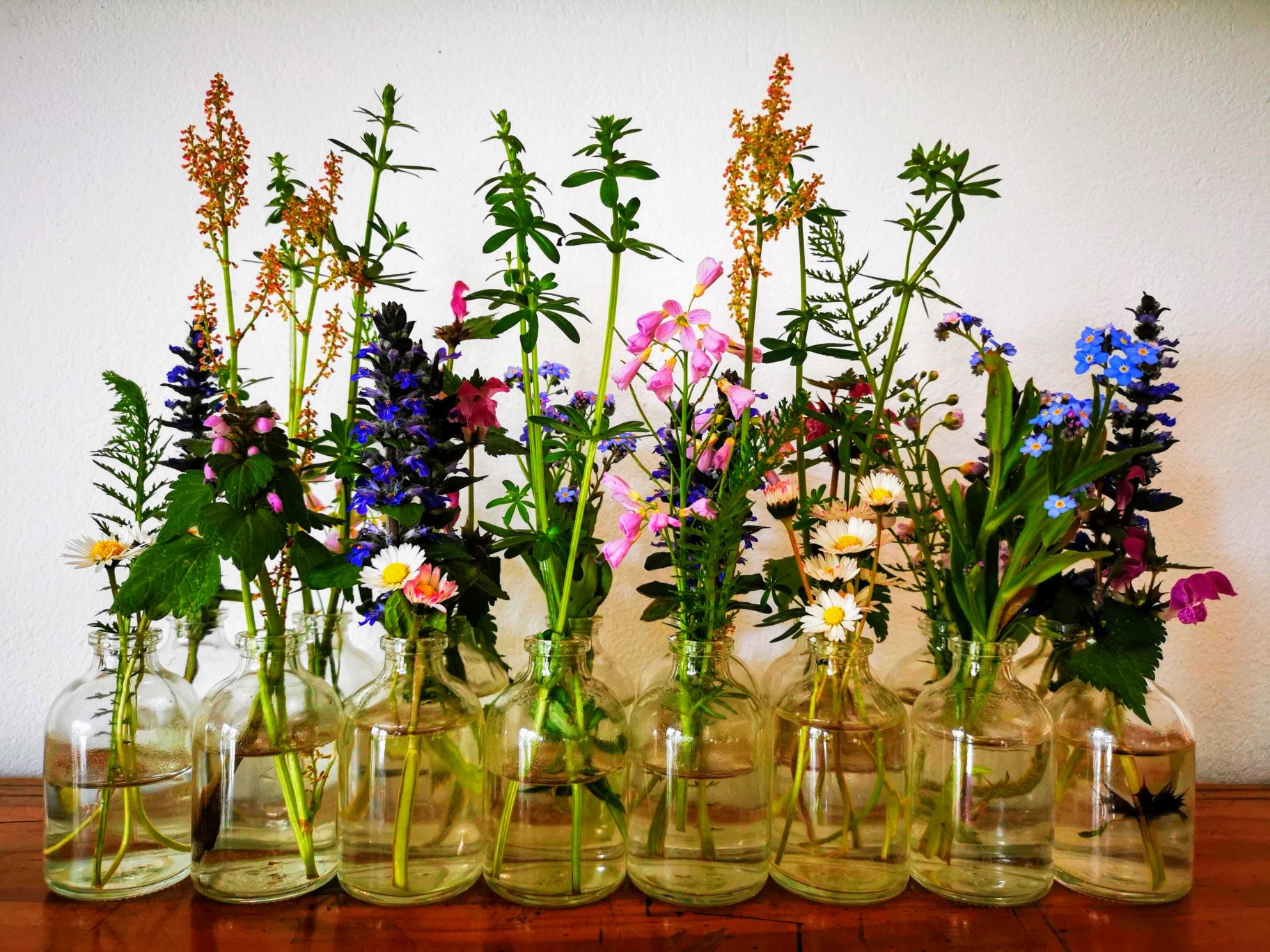 Essbarer Blumenschmuck für den Tisch